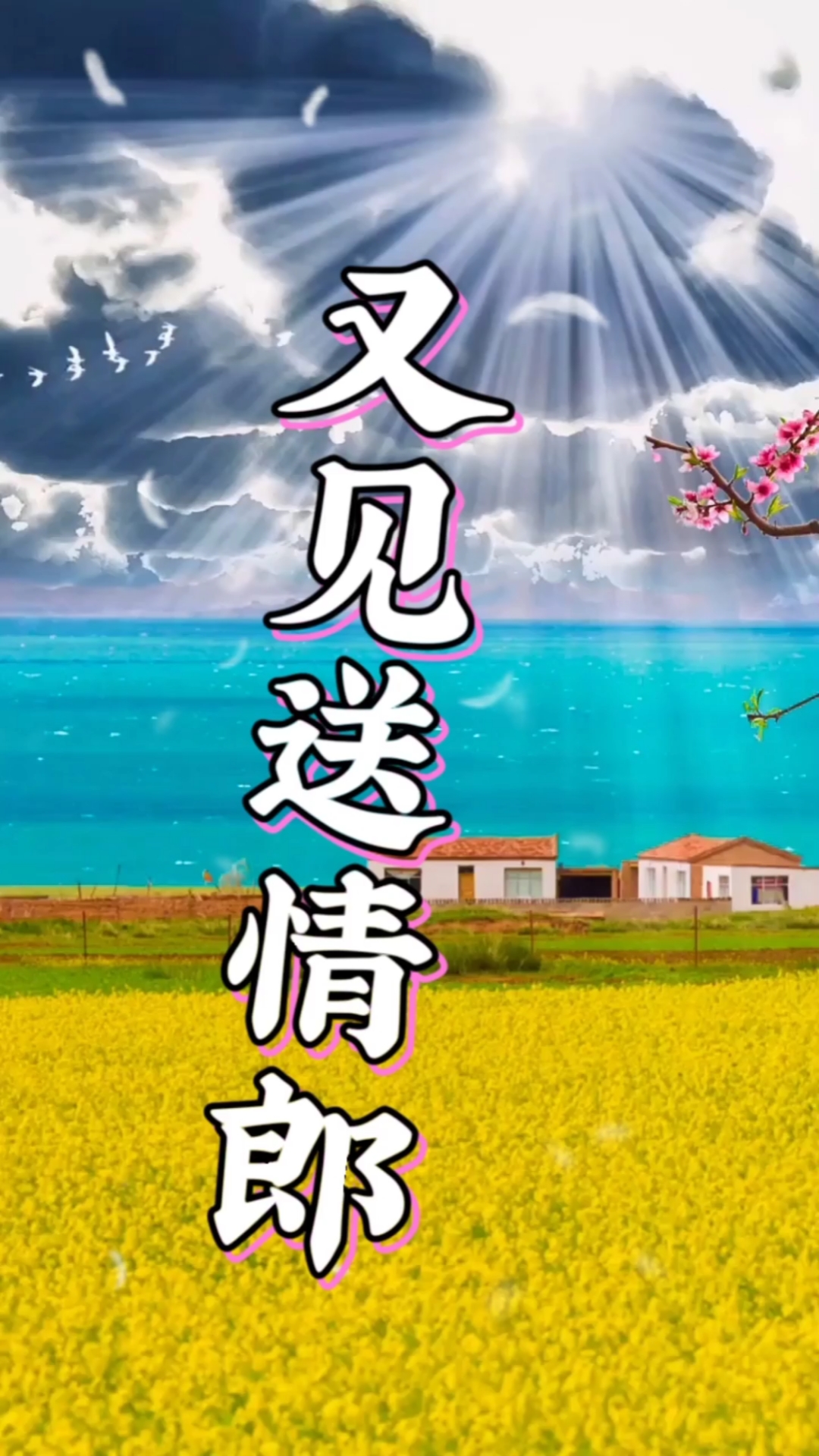 伤感歌曲#伤感情歌《又见送情郎》