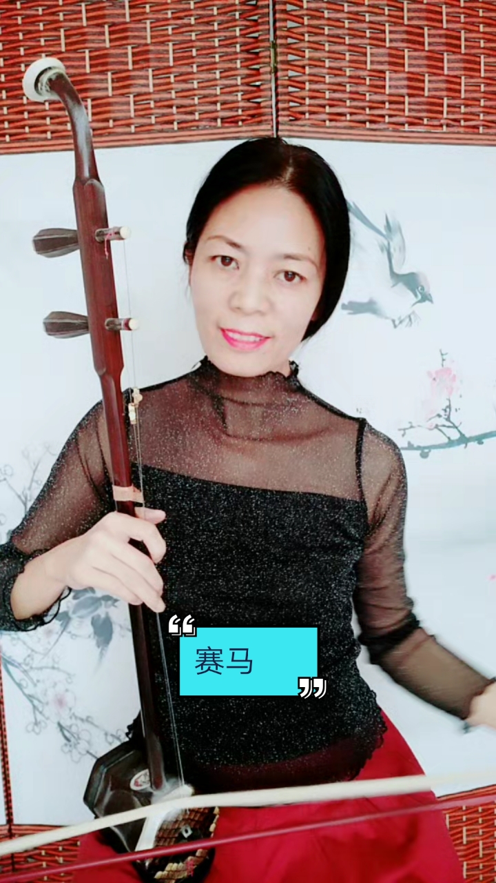 全民学二胡慢练习二胡曲赛马