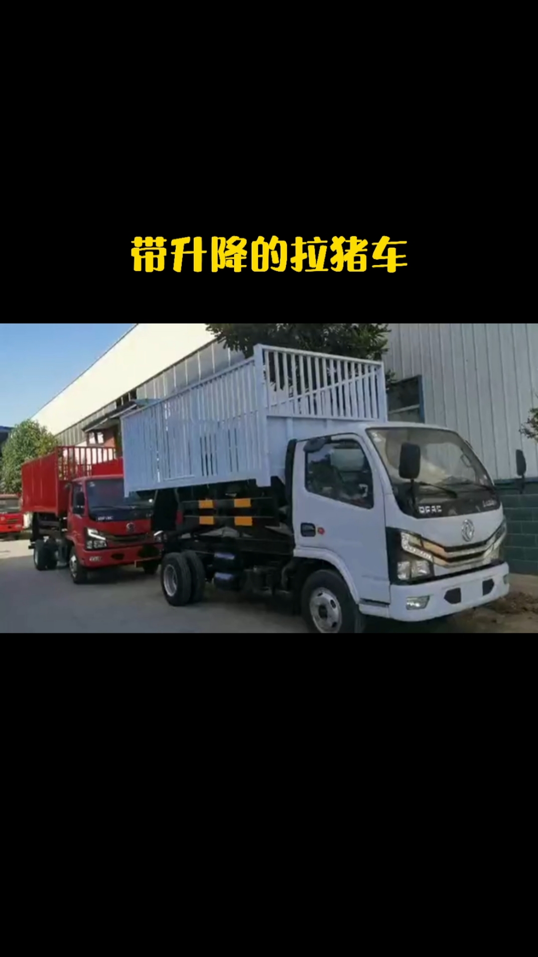 升降拉猪车#带升降的拉猪车高栏改装升降拉猪车