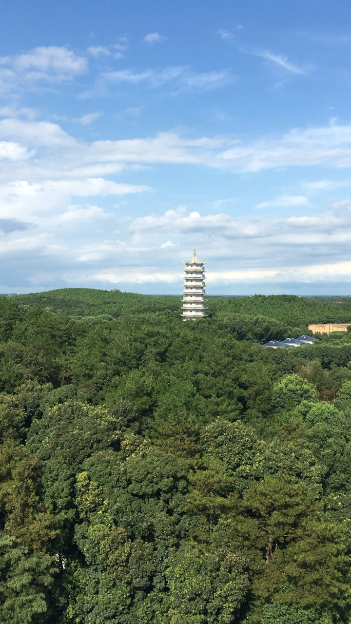 10嘉鱼风景(官桥八组)-度小视
