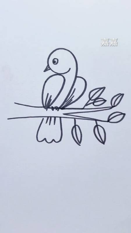 落在树枝上的鸟简笔画图片