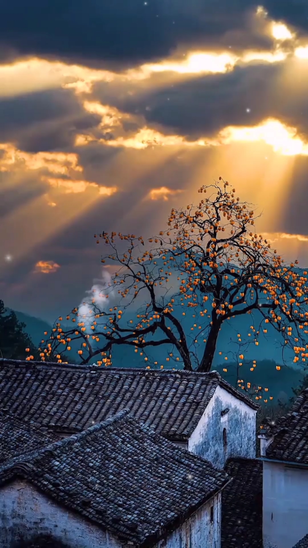 我为你翻山越岭,却无心看风景