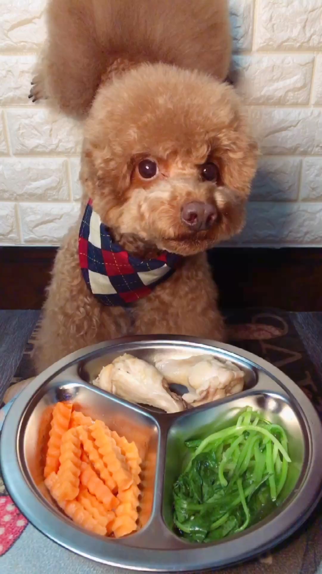 记录生活#倒立吃饭惊艳全场