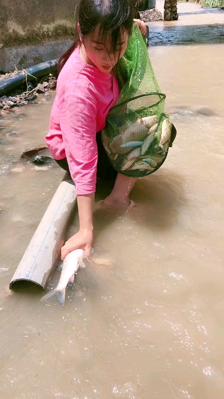 带上你的桶来和我一起去捡死鱼吧