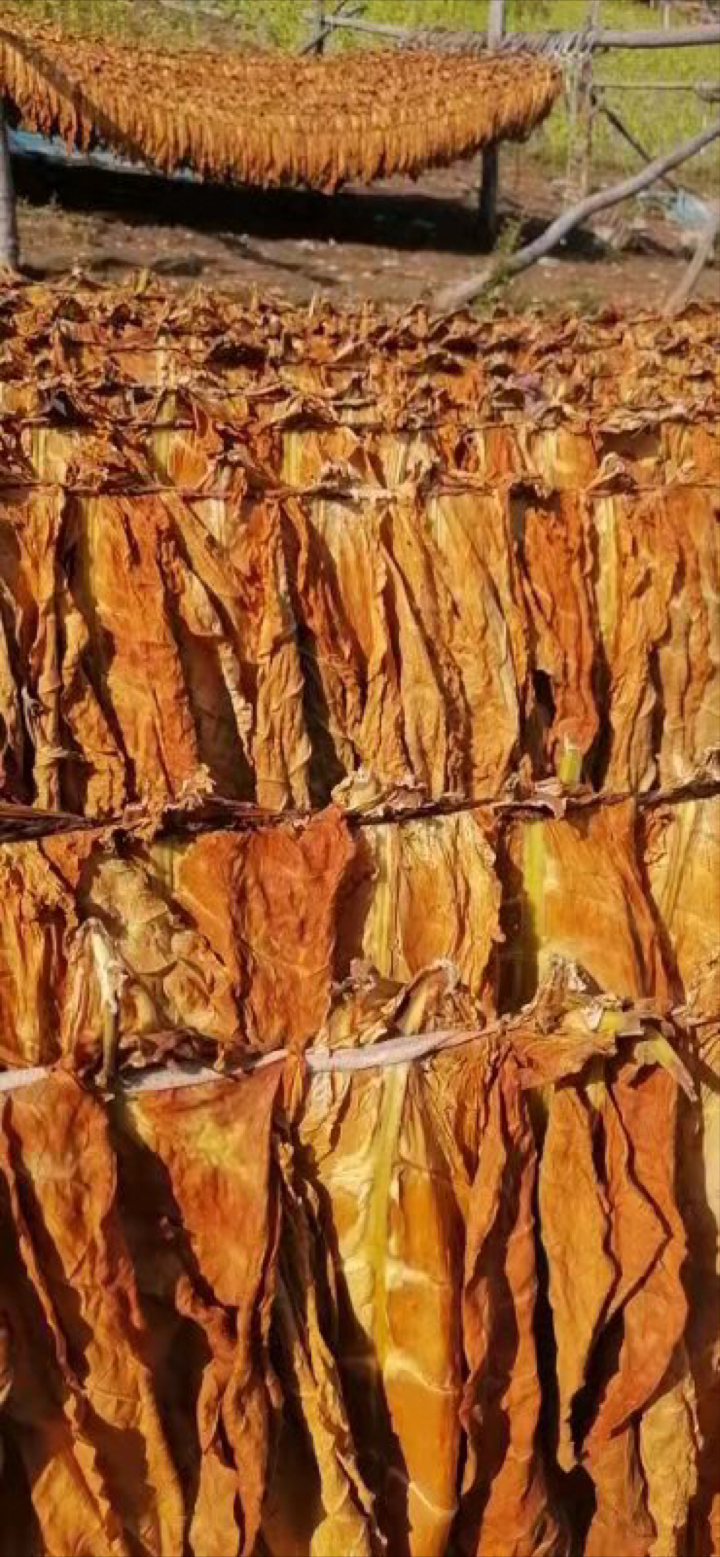 正宗夹皮沟豆饼烟