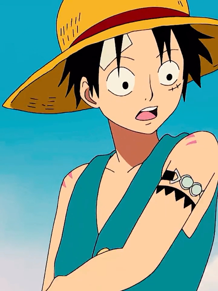海贼王#海贼王.一只呆萌的王路飞