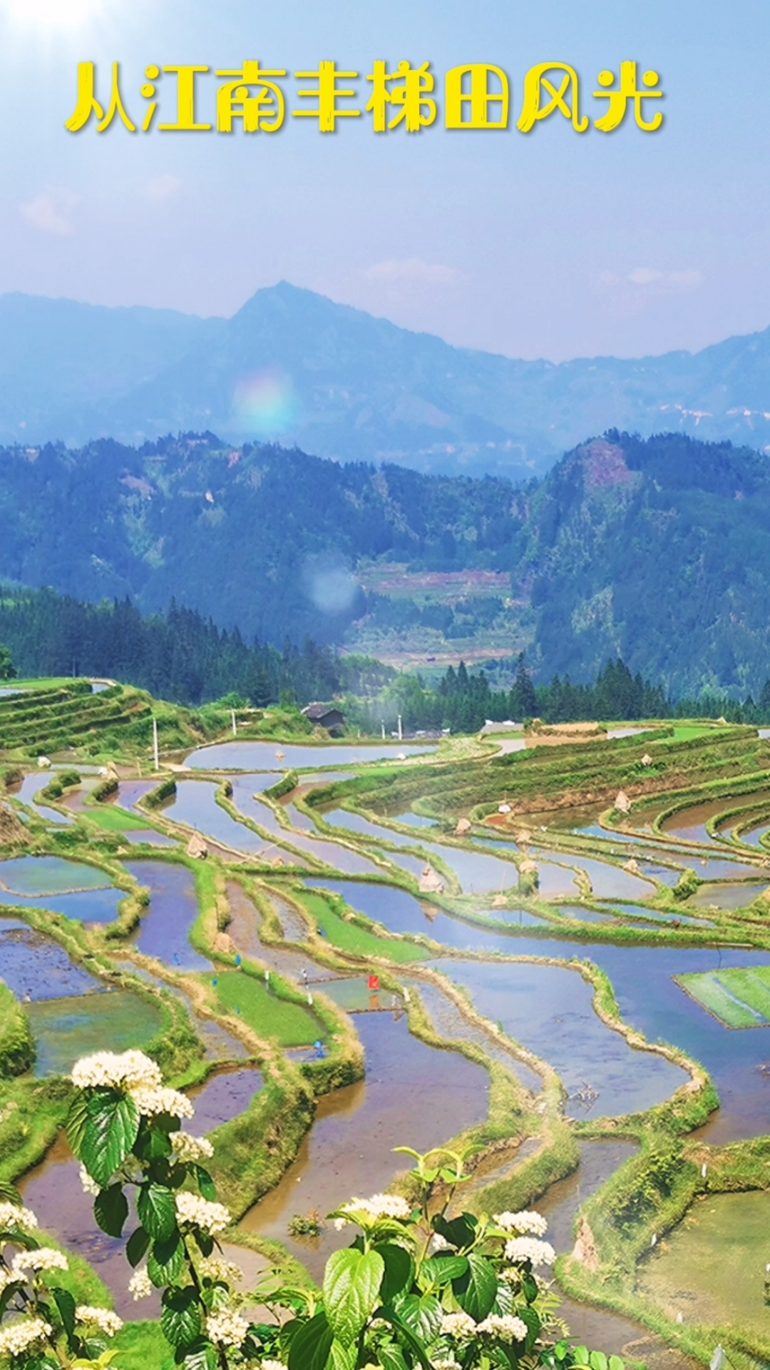 你好,夏天#从江县翠里乡南岑岑丰梯田