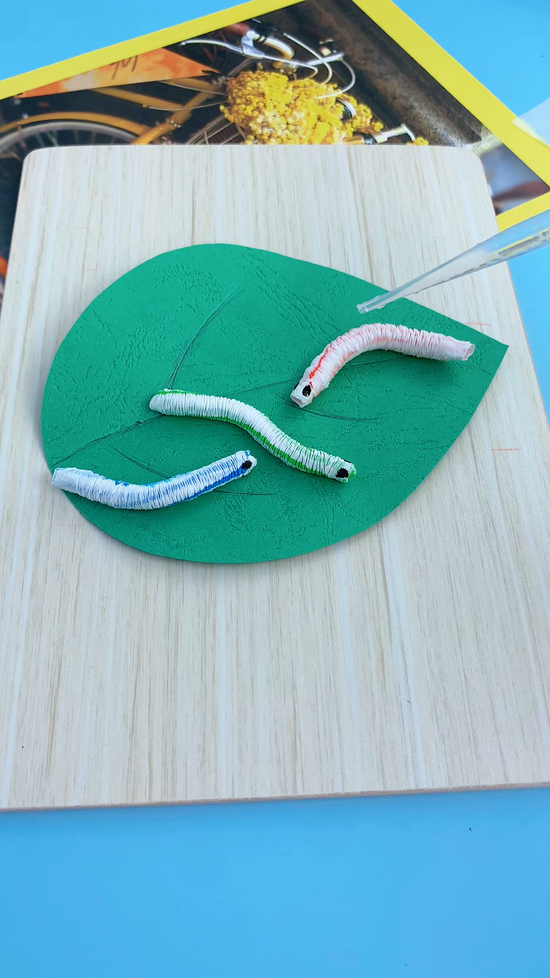 亲子手工#做几只会动的小虫子,拿去哄娃用吧!