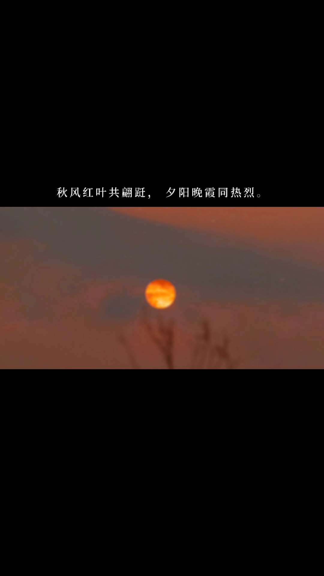 度小视文案秋风红叶共翩跹夕阳晚霞同热烈