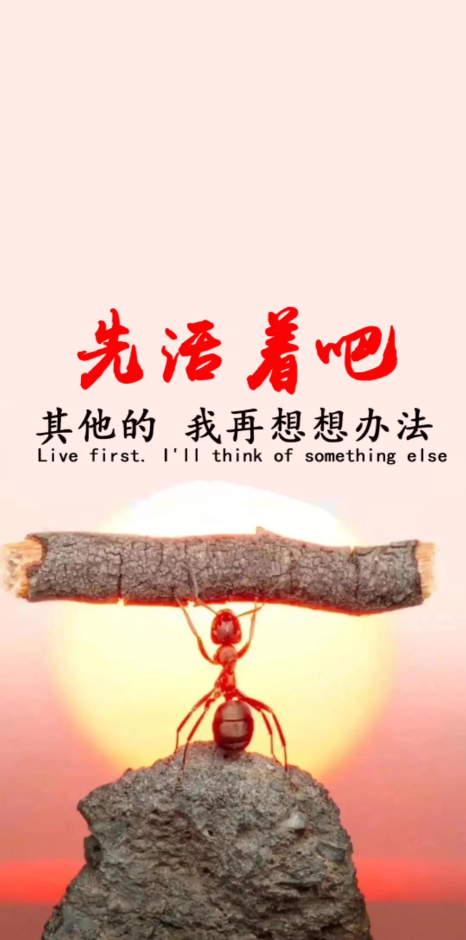 扎心情感语录##且行且珍惜#壁纸