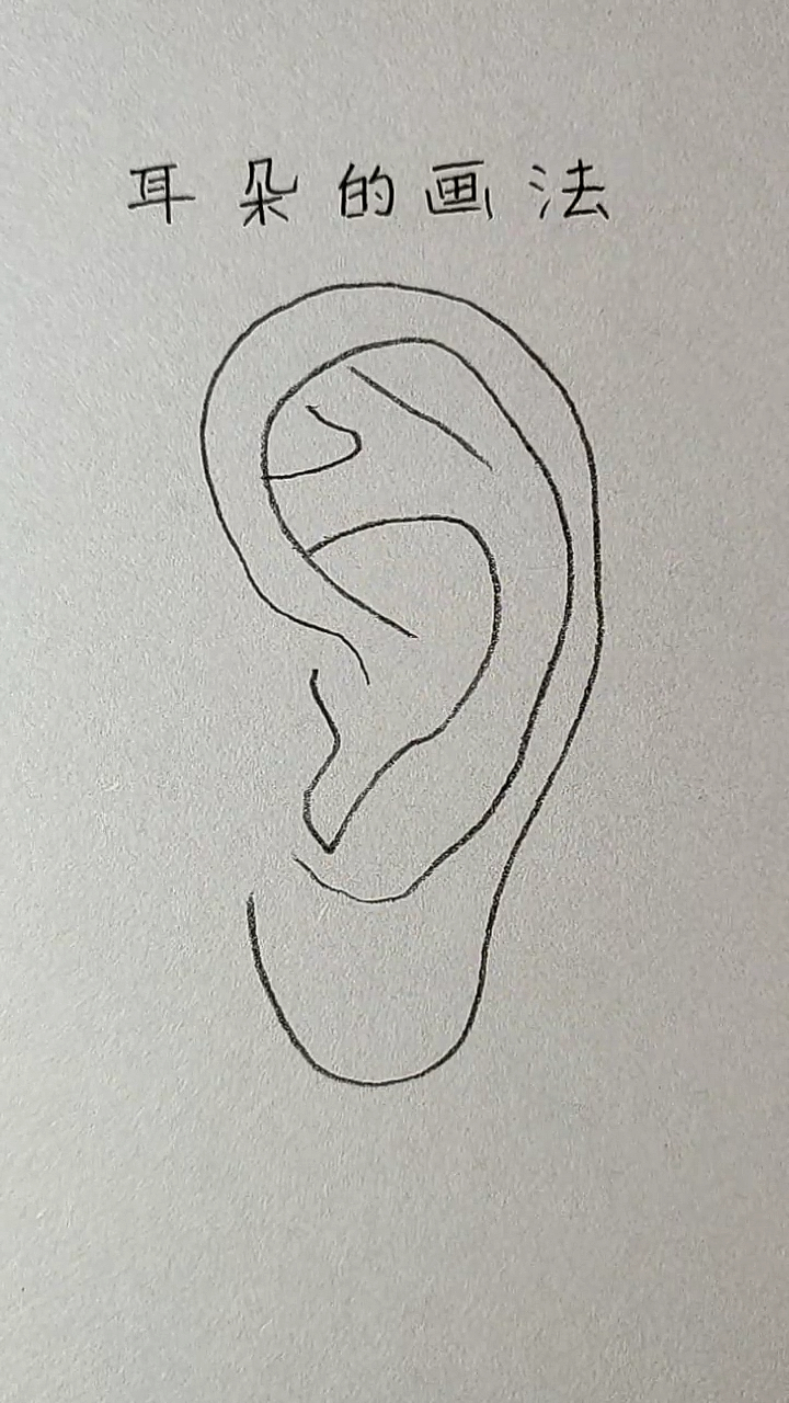 简笔画十几秒就能学会的耳朵画法