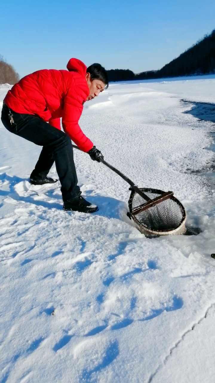 东北都封河了,又开始了一年的捞鱼