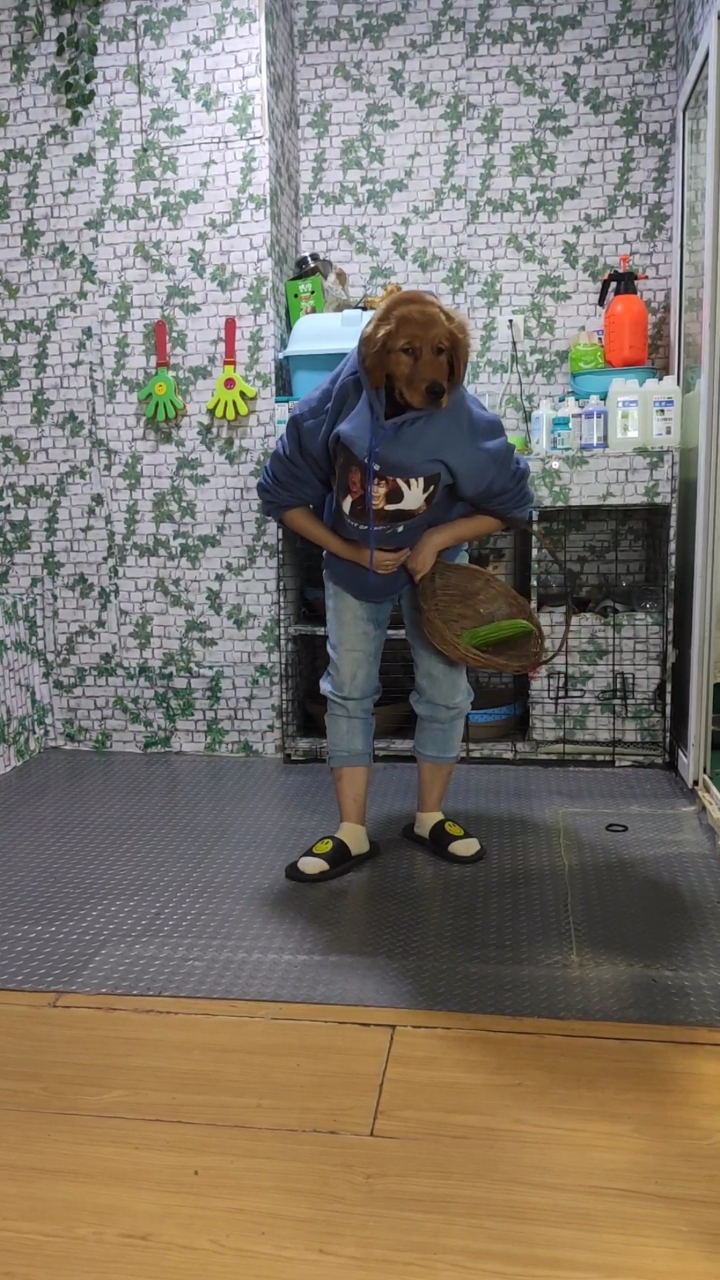 狗头人身难道这就是传说中的