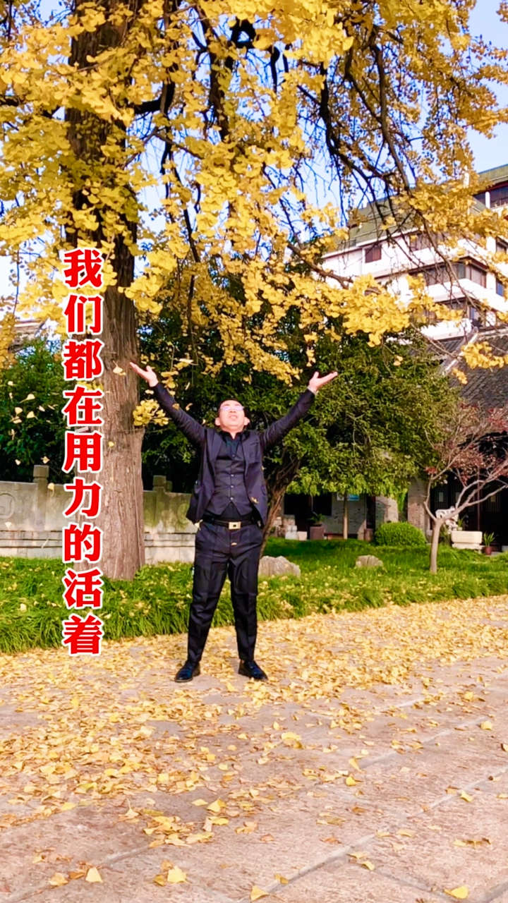 反正我收获了一身伤,一身债半条命,还活着