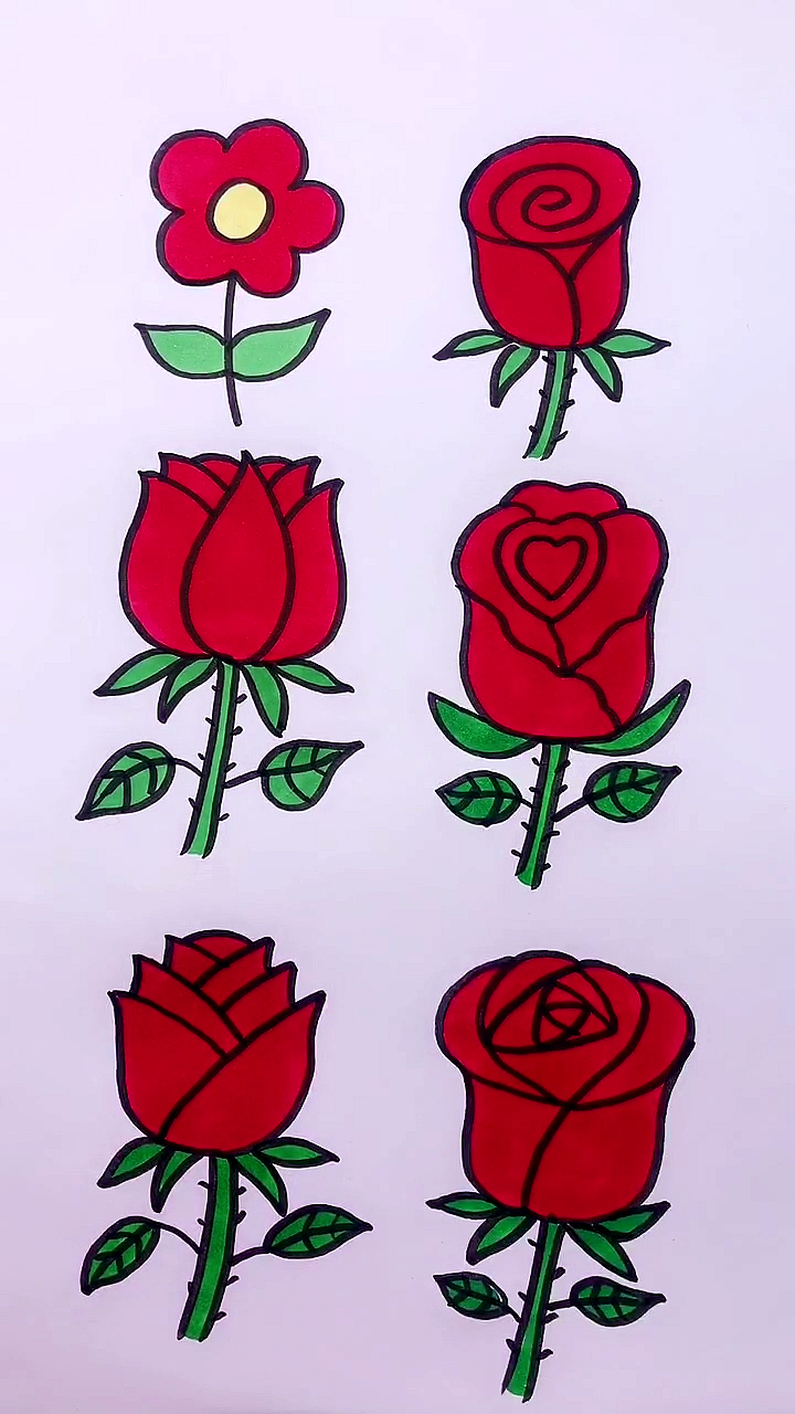 如何画玫瑰开放图片