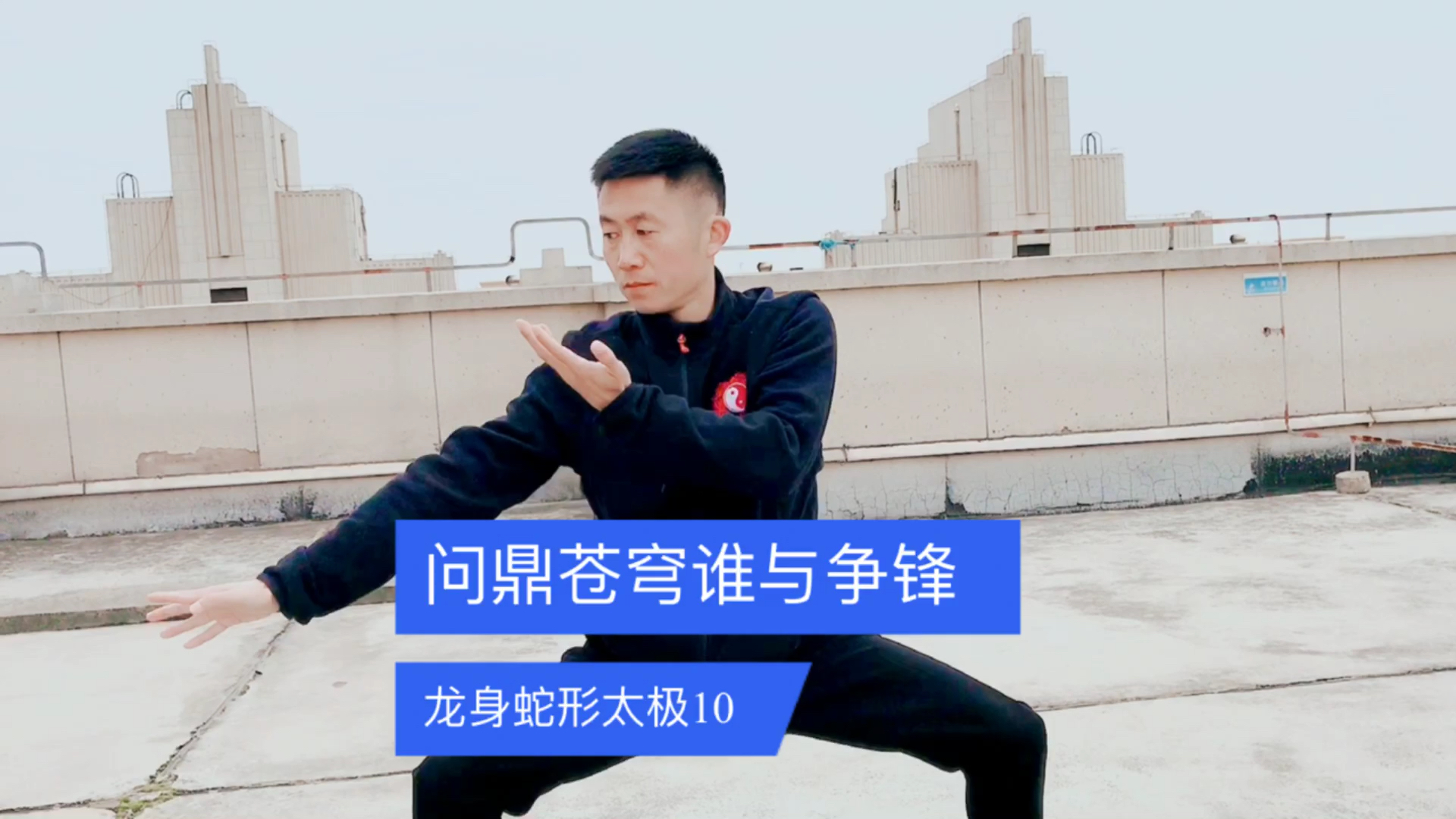 问鼎苍穹谁与争锋华人拳心龙身蛇形太极拳