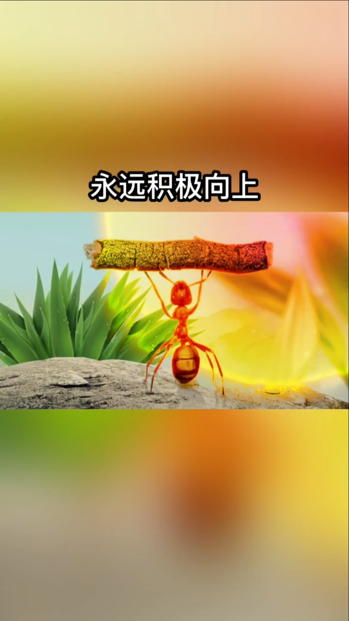 全民正能量#永远积极向上!加油!陌生人!