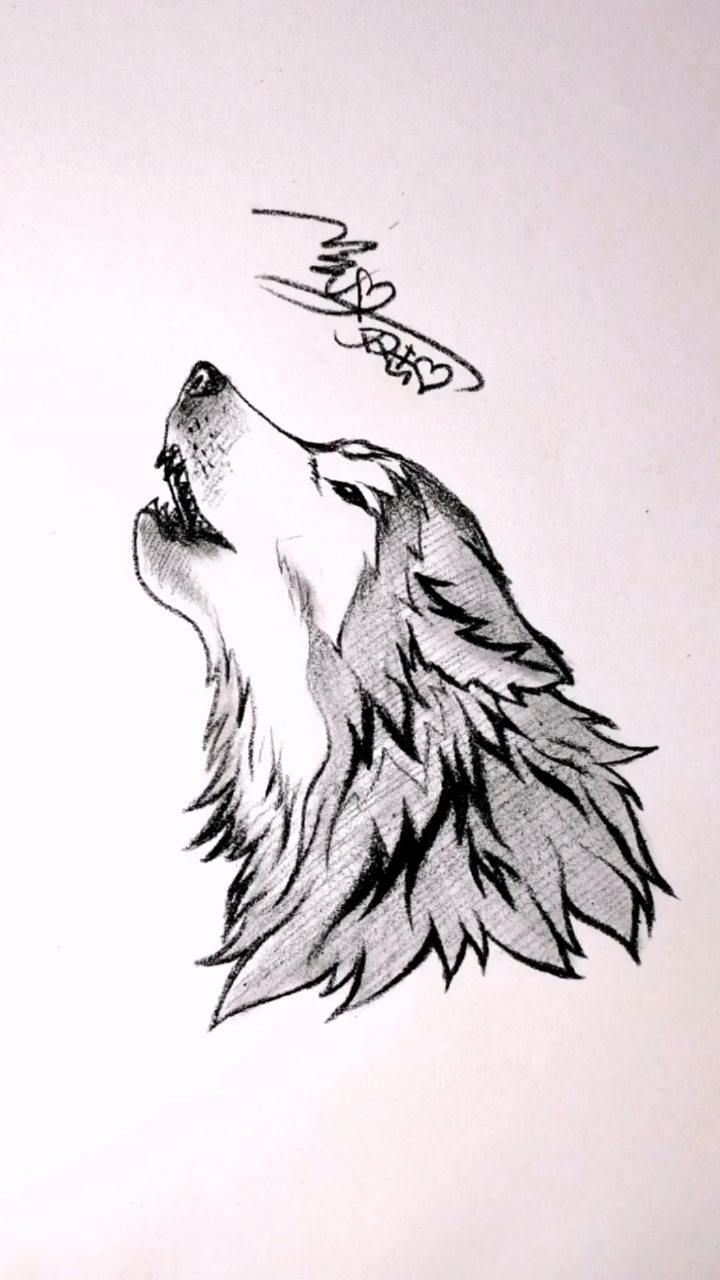 手绘#教你画狼头