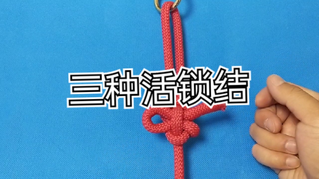 实用绳结#常用三种活锁结!易解易结非常的实用