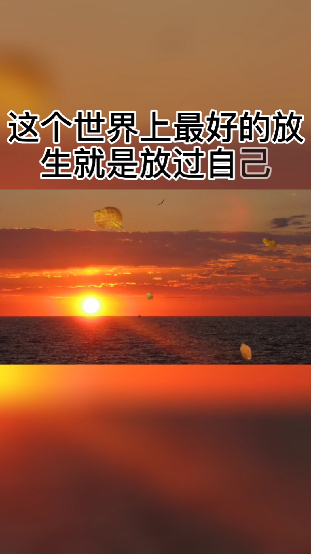 这个世界上最好的放生,就是放过自己.