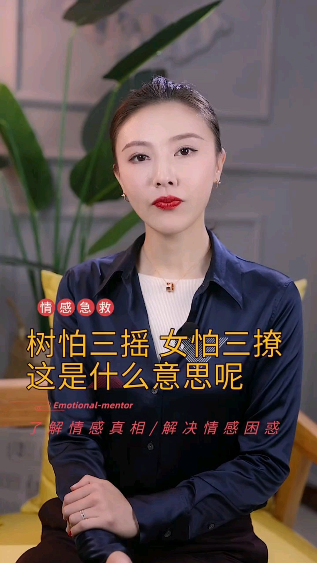 情感故事树怕三摇女怕三撩你明白这是什么意思吗