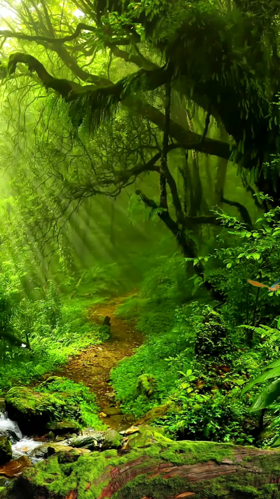 我的私藏景点#心灵需要一方净土,走进大自然,亲近拥抱大自然吧