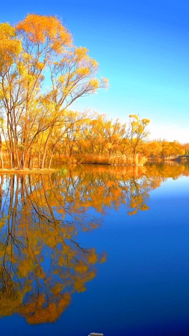 系风景,希望你不开心的时候多来翻翻我的作品,他能给你心灵上的治愈