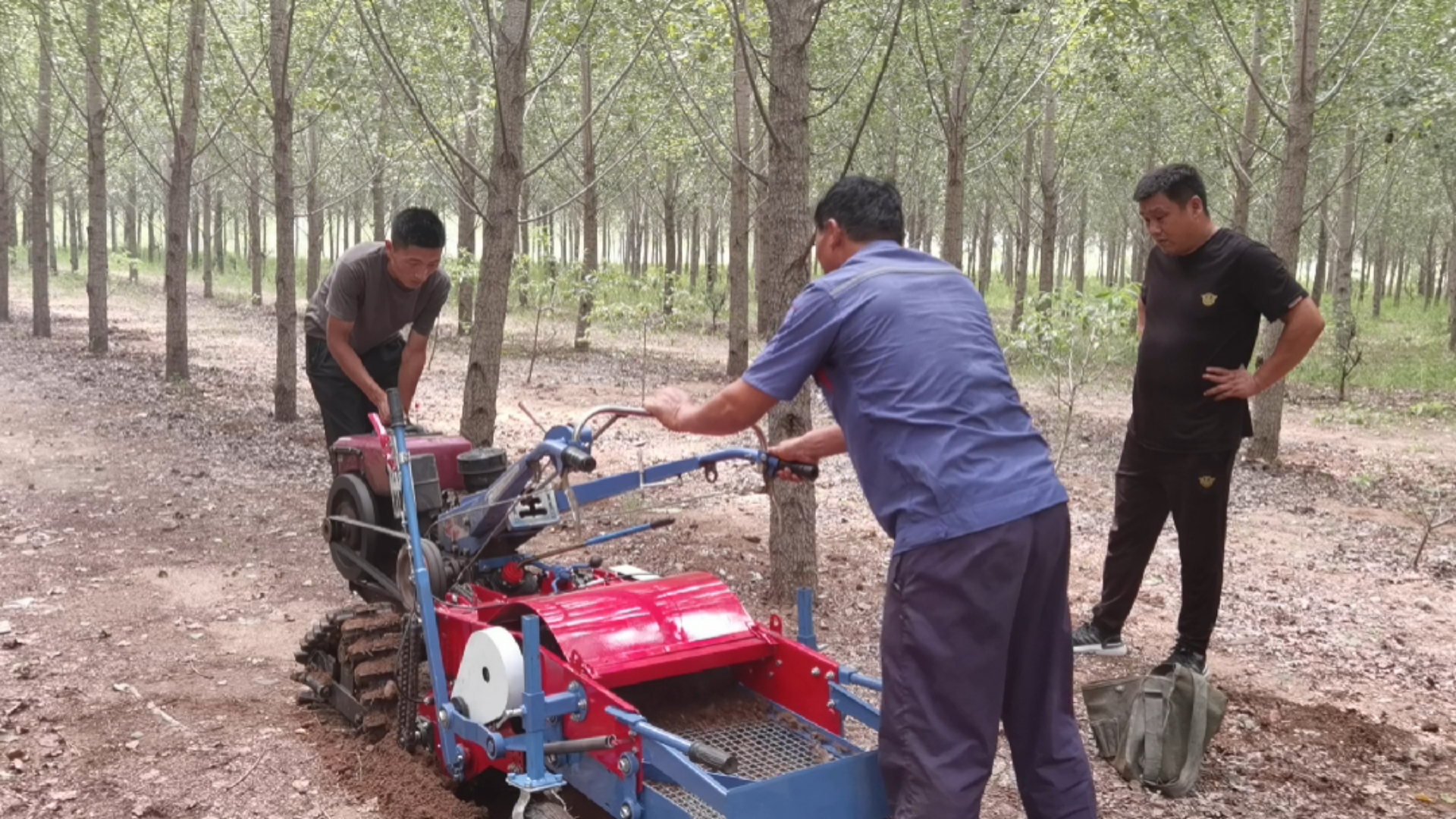 半夏收获机#半夏收获机新款药材收获机