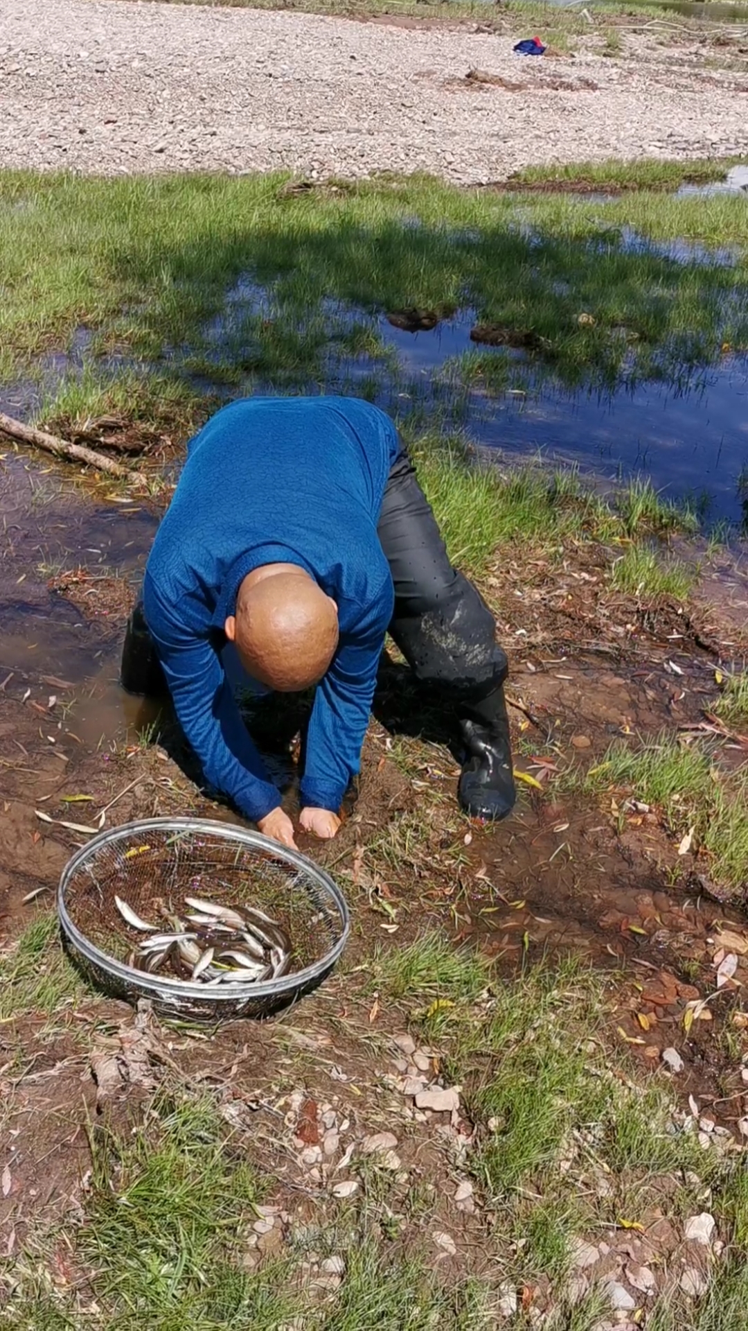 小河沟里徒手抓鱼