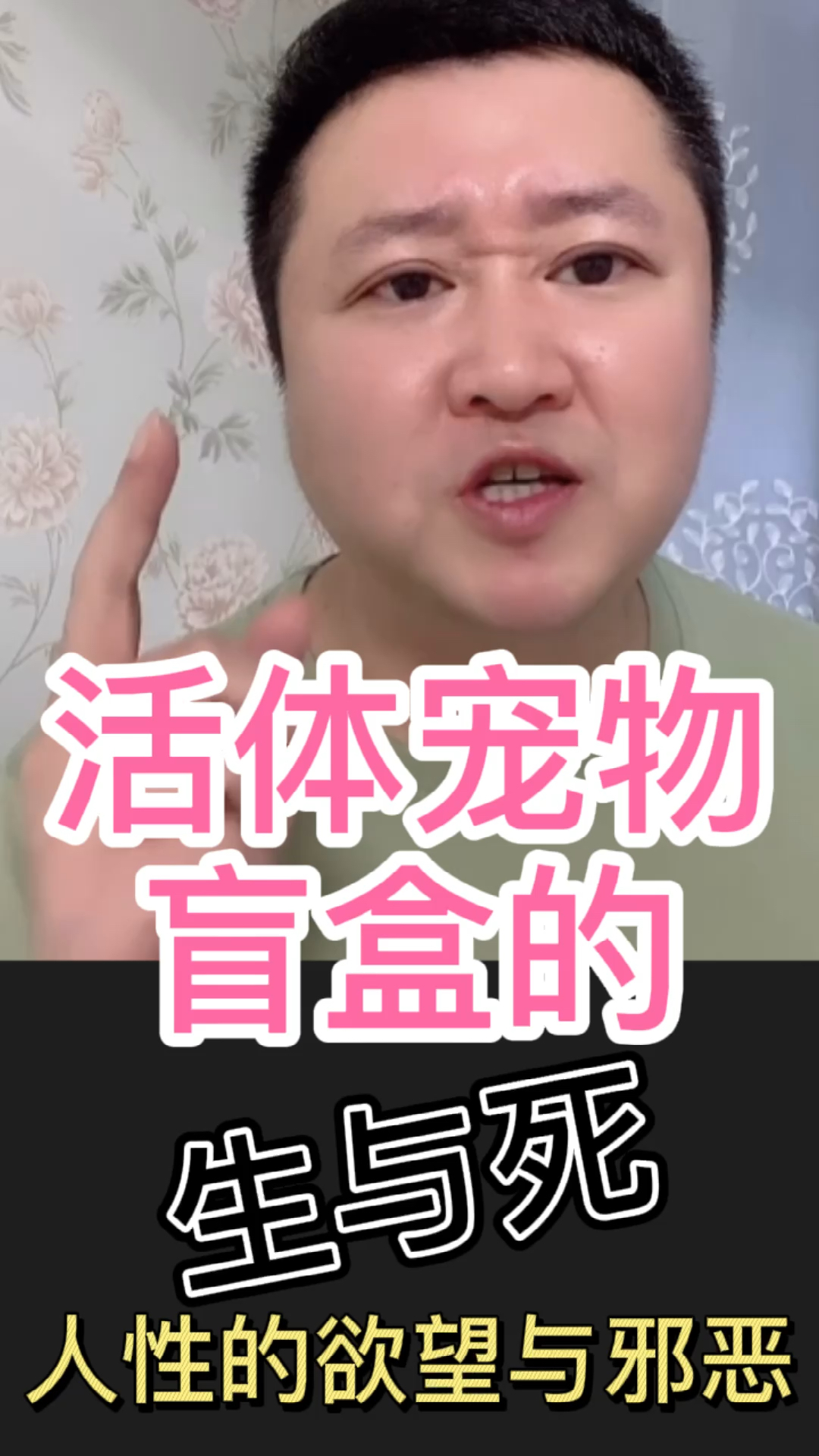 我家萌宠成精了#活体宠物盲盒,你知道吗?