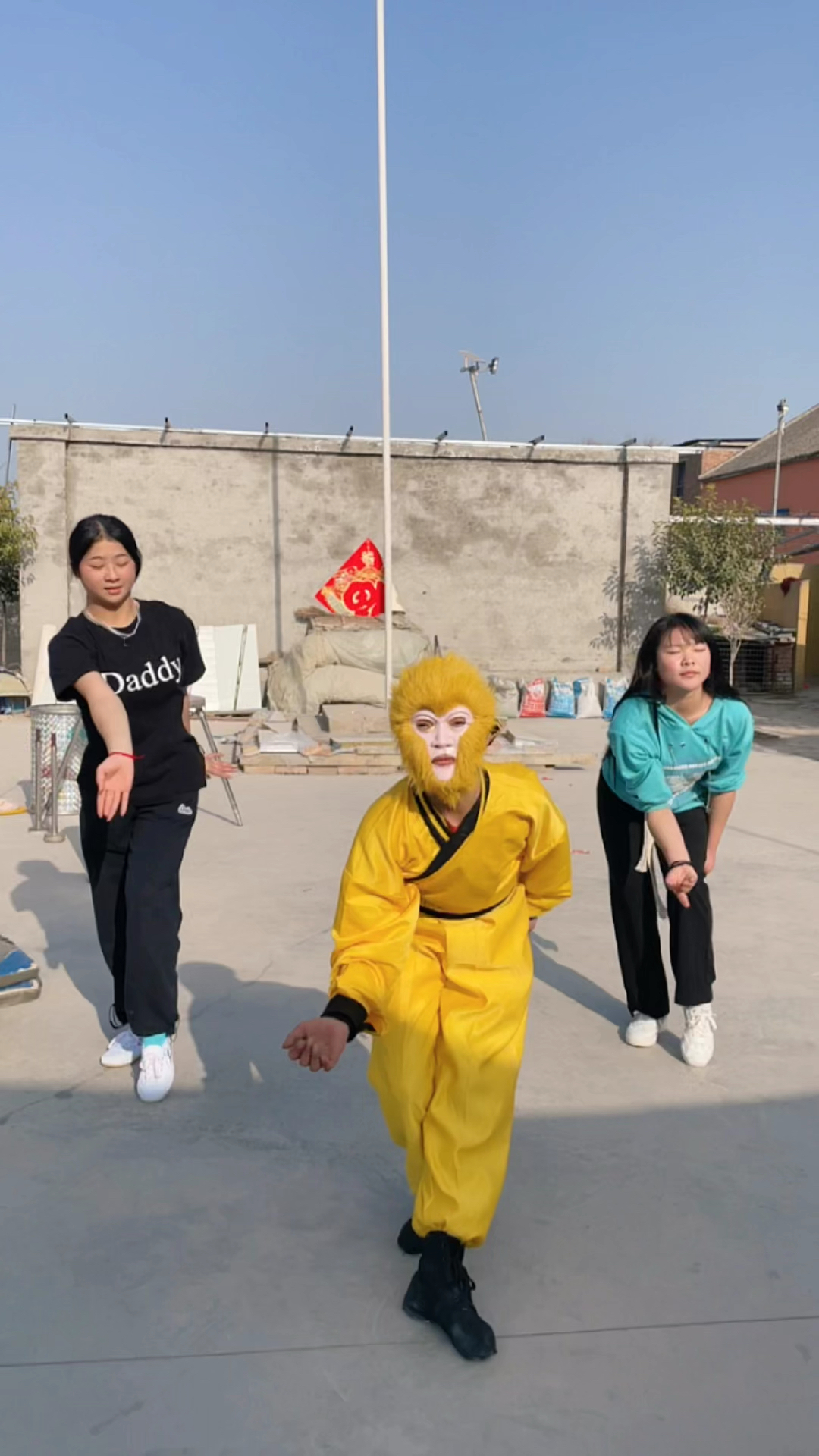 舞蹈#这母猴跳的还挺好