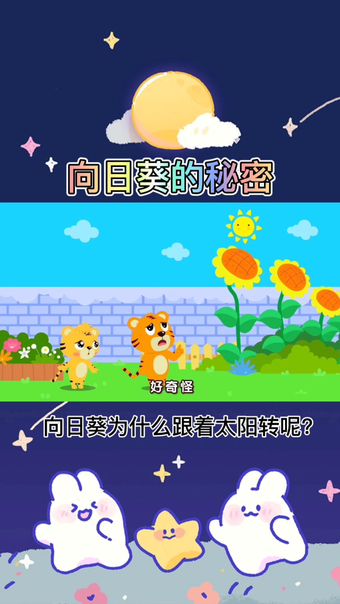 动画#向日葵的秘密你知道吗?