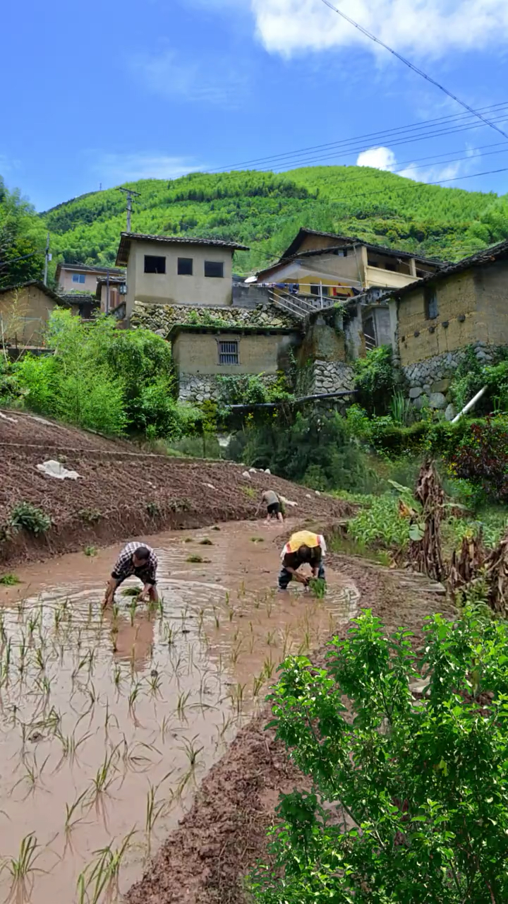 这就是真实农村,山沟沟里,很多人翻到我就直接划开走了,乡亲们都劝我