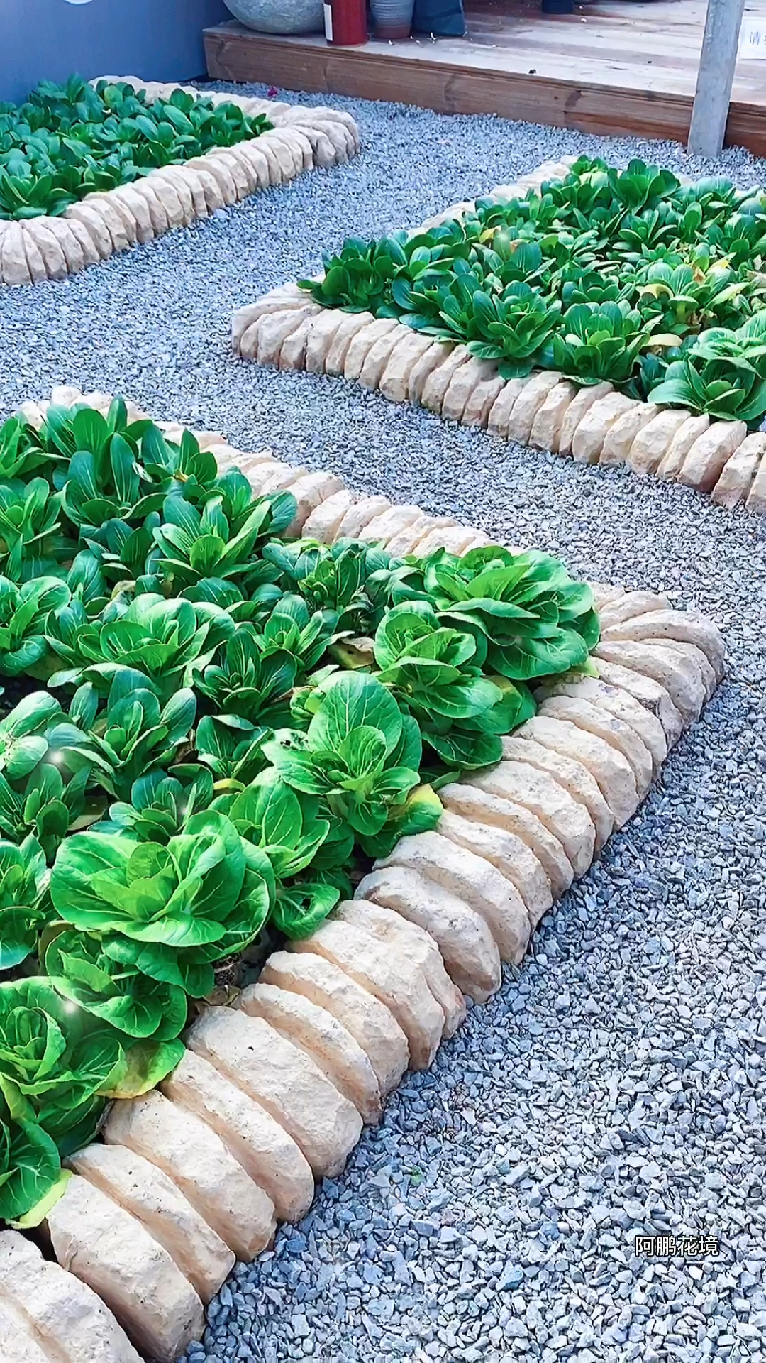 毛毛虫石材快速砌花池,种菜杠杠的