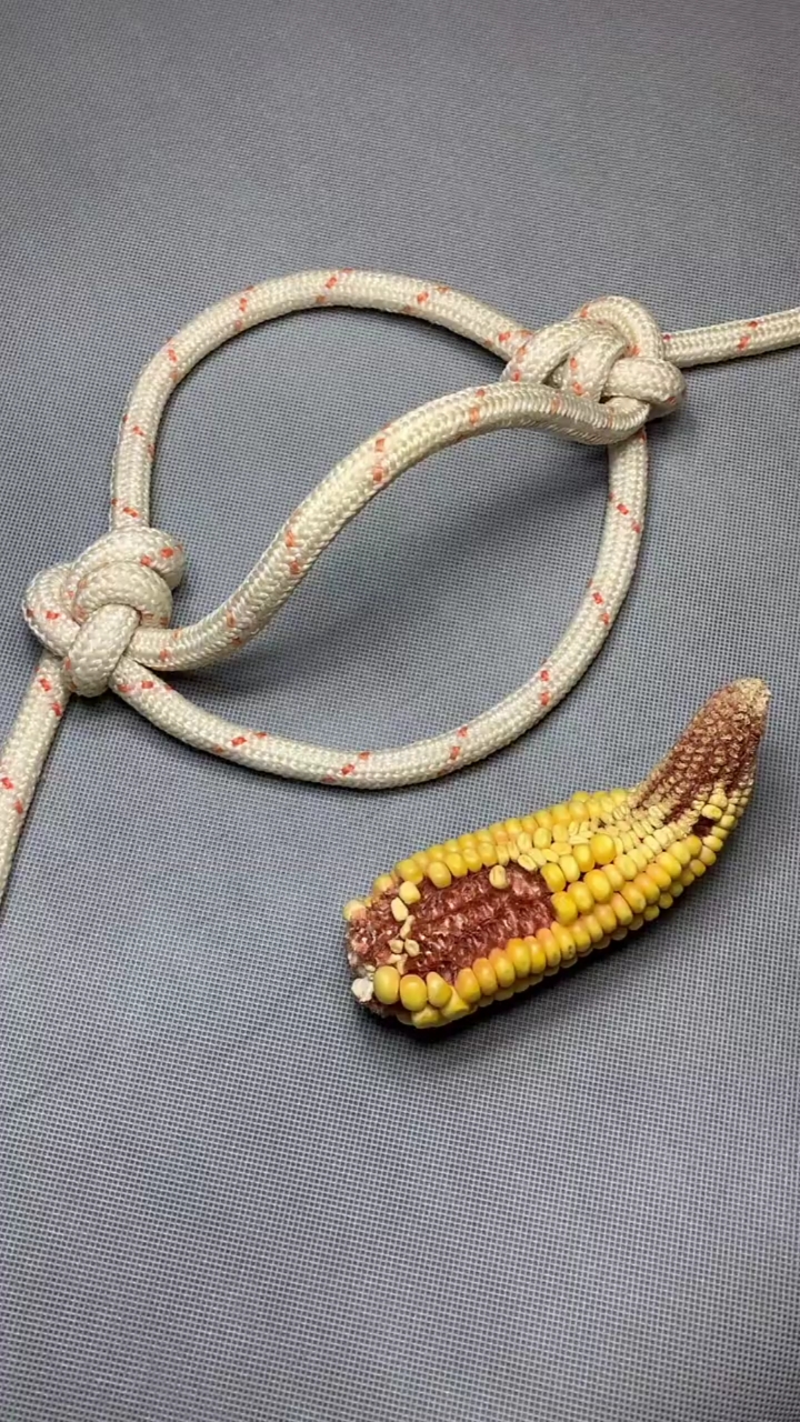 单绳牛笼嘴制作教程!
