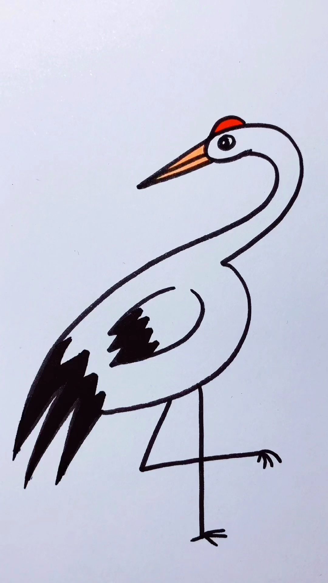 丹顶鹤的画法 简单图片