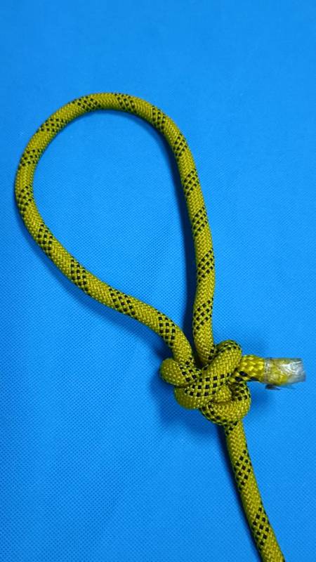 实用绳结#应急宠物结,不缓结不开扣