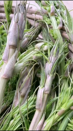 你吃过这菜吗?龙须菜