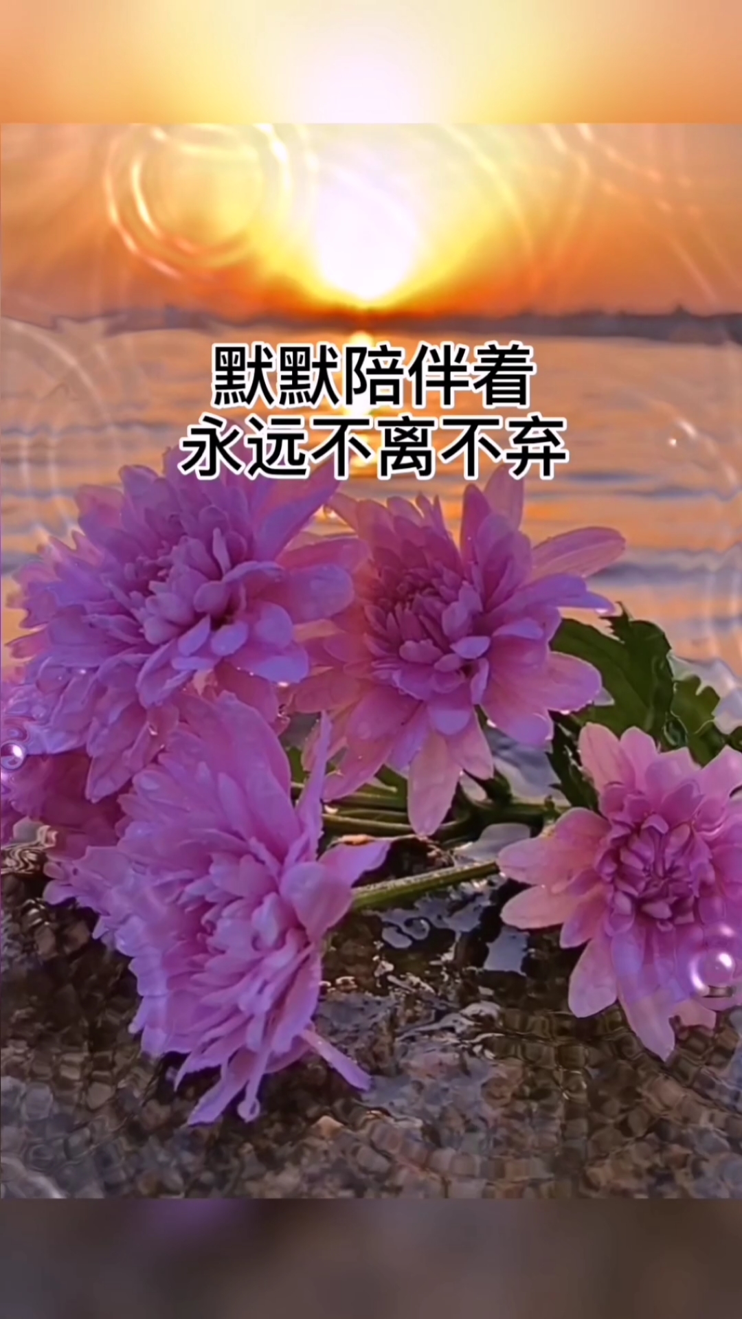 你懂我心,我知你意,彼此相互惦记就够了.