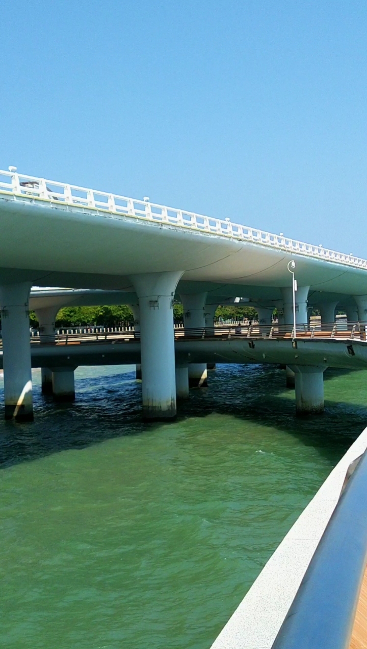这里风景不错#厦门演武大桥,距离海平面最低的大桥,涨潮时海水几河腚