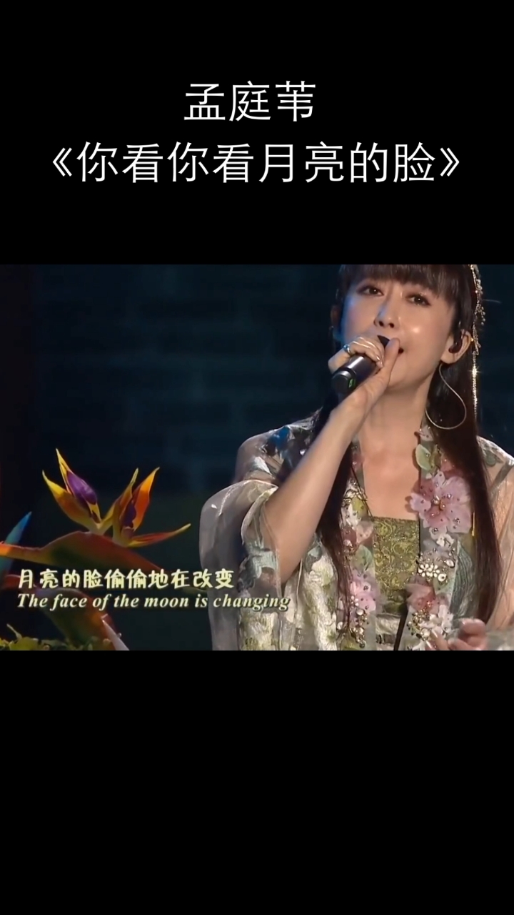 孟庭苇演唱经典歌曲,回味无穷!