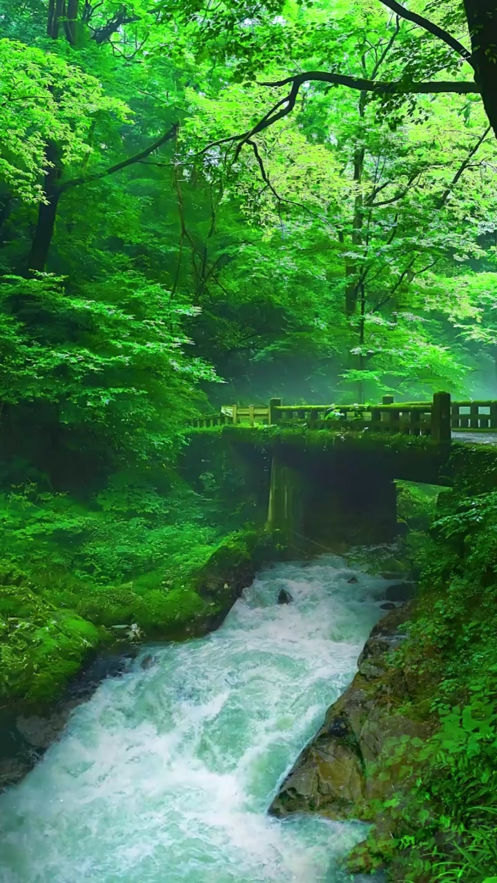 亲近大自然#当你心情浮躁不安的时候,就过来翻翻我的作品吧,希望可以