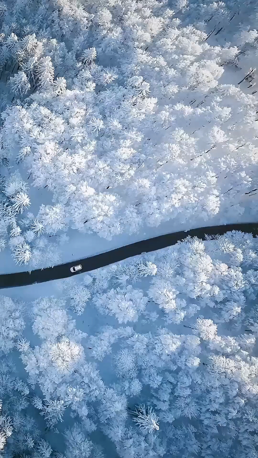 遇见好风景#北国雪景,冰清玉洁,亦真亦幻.