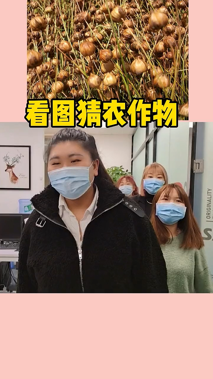 搞笑#看图猜农作物,你认识那些呢?