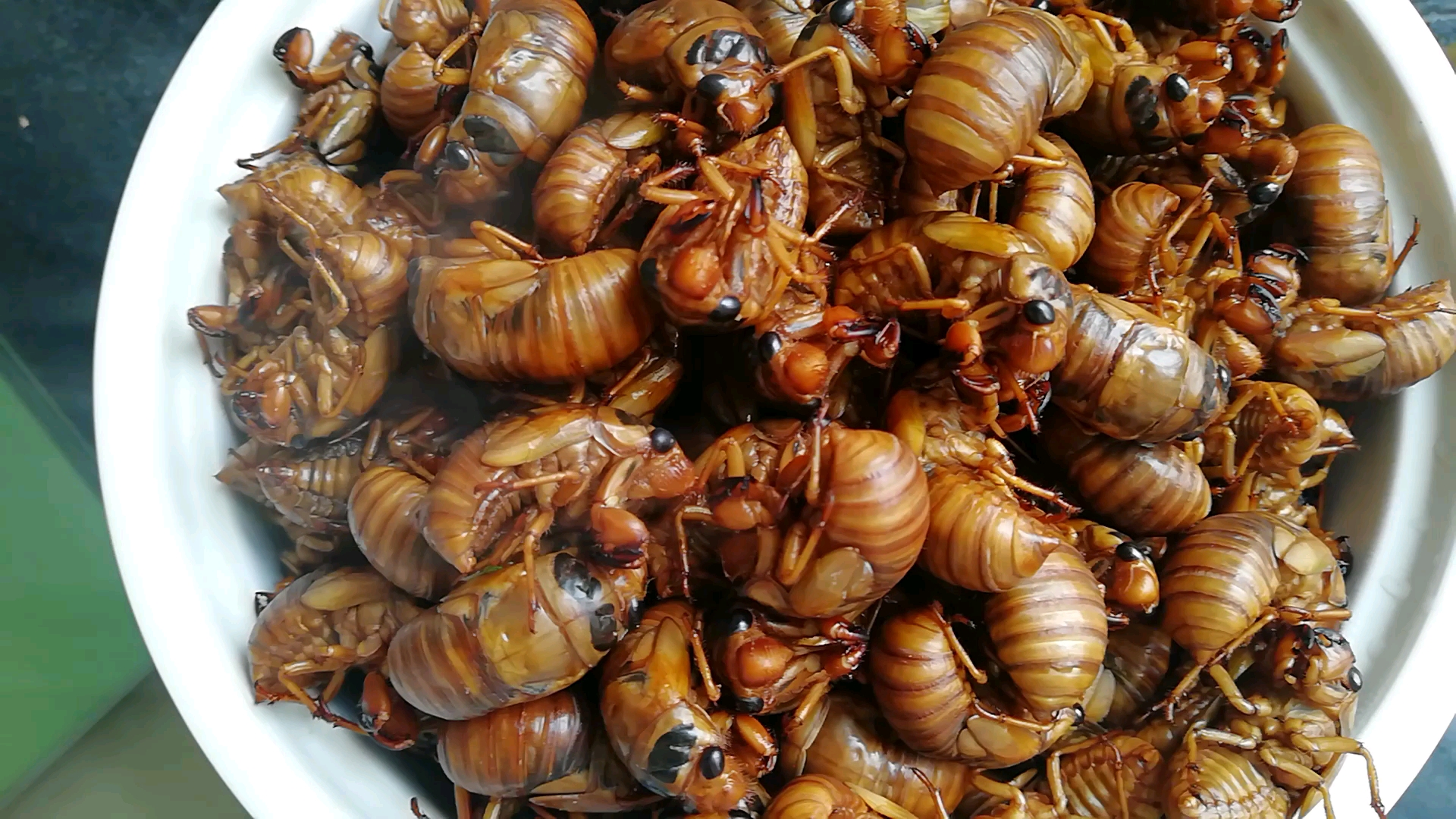 夏食记#秋至蝉声稀,再吃到新鲜的这个怕是要等到明年了