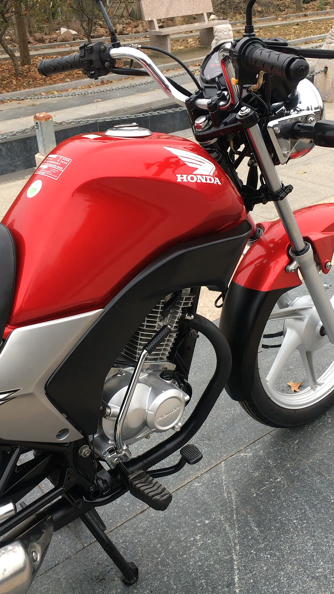 五羊本田#本田锋朗