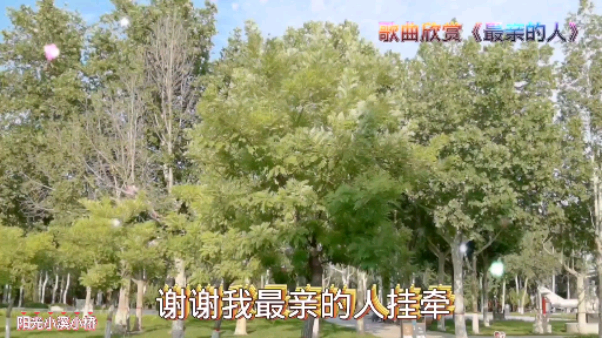 歌曲欣赏#《最亲的人》#是由张维作词,徐一鸣作曲,陆海涛原唱的歌曲.