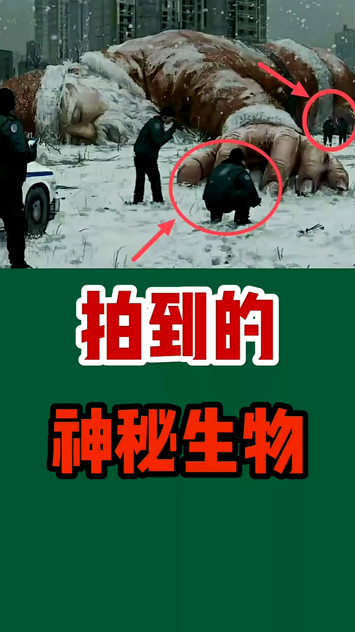 我要上热门#拍到的神秘生物,你见过吗?