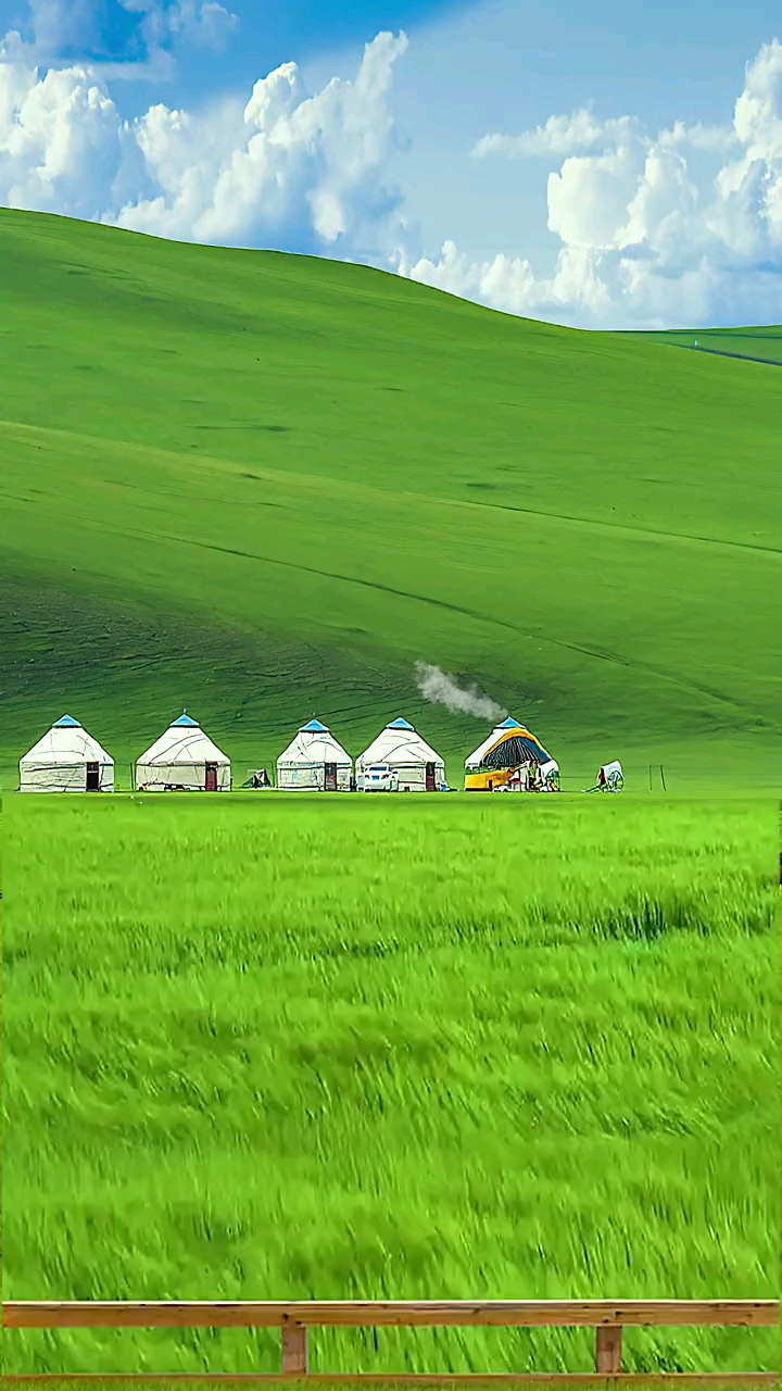 #呼伦贝尔大草原#这不是国外,这是祖国的呼伦贝尔草原,是世界上最大最