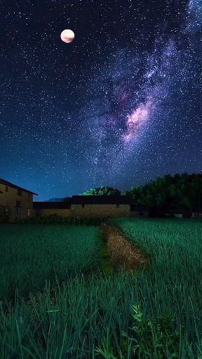 高清60帧 小时候仰望天空也是满眼星河